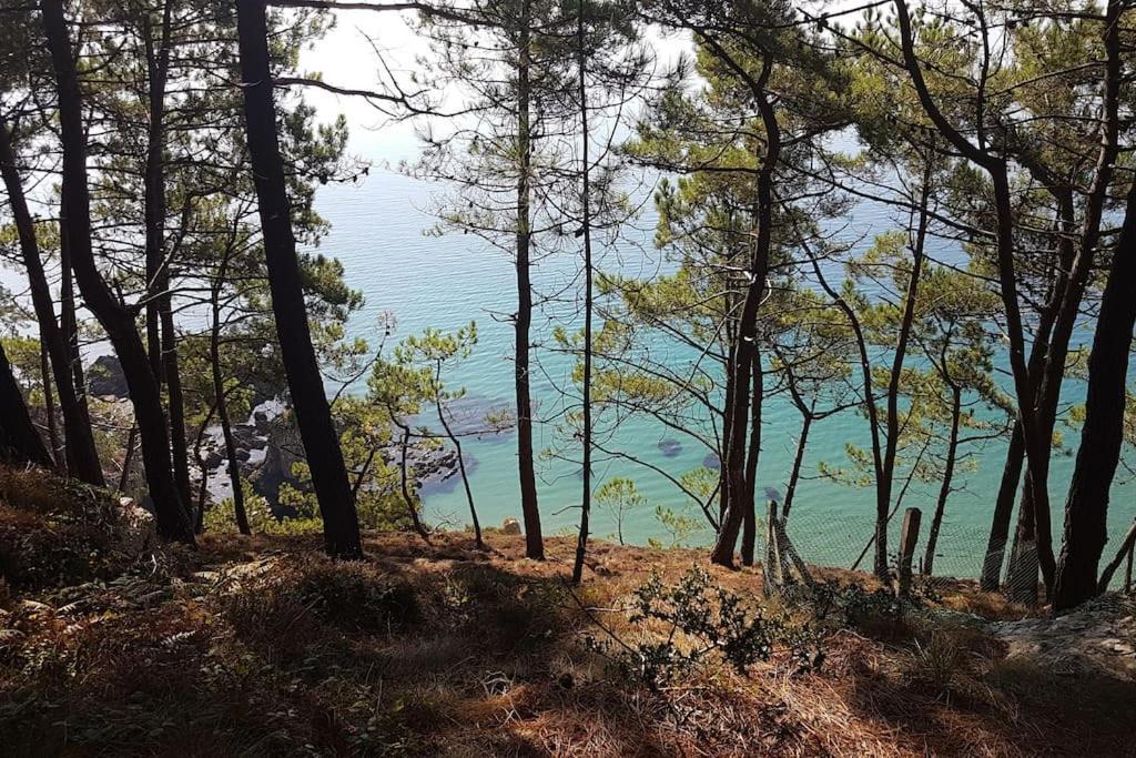 Chez Nany, Chaleureux Duplex Sur Le Port De Morgat Apartamento Crozon Exterior foto